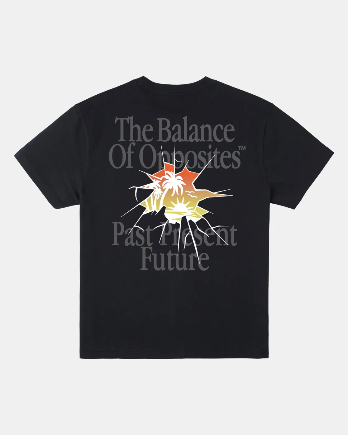 RVCA SPRING BREAK SHORT SLEEVE TEE Black Outlet