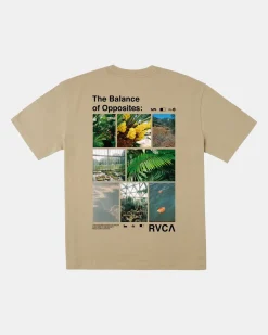 RVCA TEXTBOOK TEE Khaki New